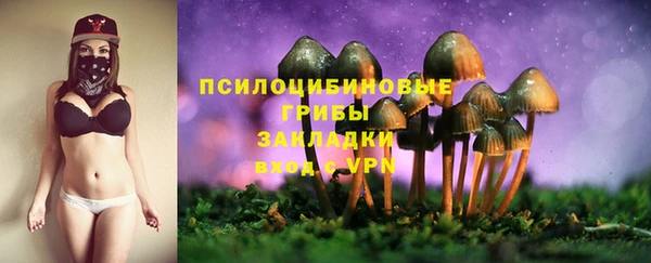 герыч Алзамай