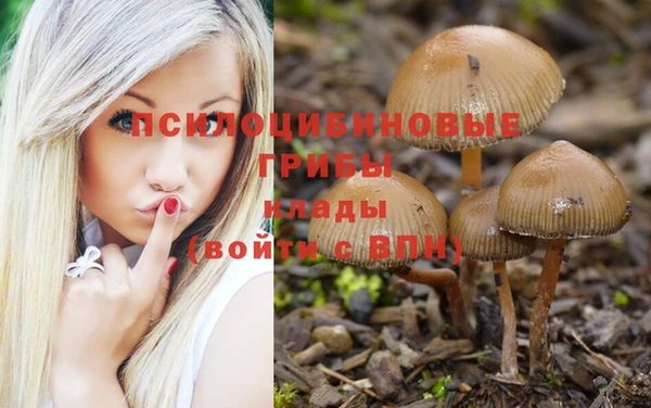 таблы Осинники