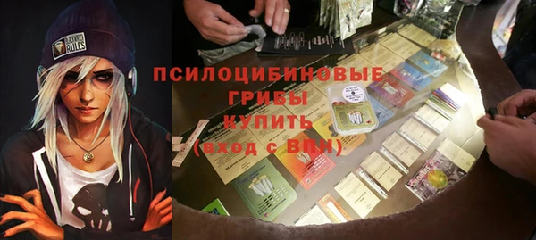 бошки Осташков