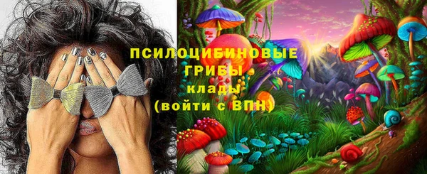a pvp Абаза
