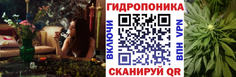 Конопля Ganja  купить  цена  hydra зеркало  Бирюсинск 